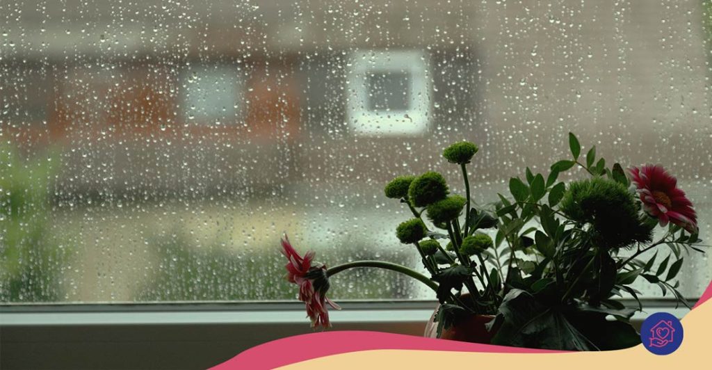 Infiltrations & orages d&rsquo;automne : préparez votre logement
